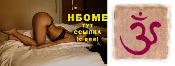 молекула духа Бородино