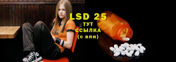 молекула духа Бородино