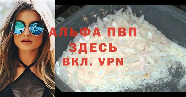 молекула духа Бородино
