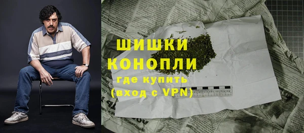 молекула духа Бородино
