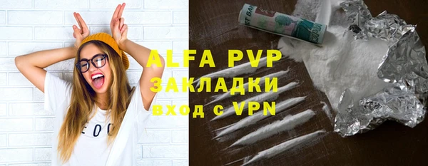 молекула духа Бородино